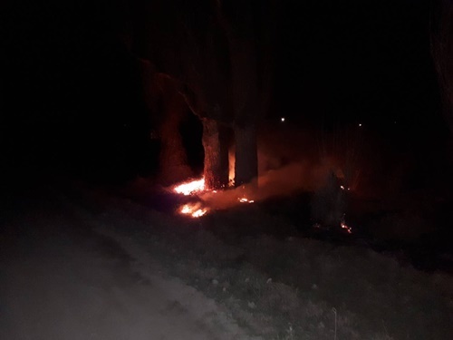 В Крыму растёт количество возгораний сухой травы